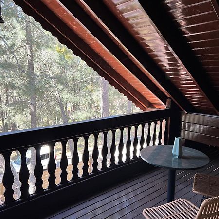 El Bosque Encantado La Estacion Екстериор снимка